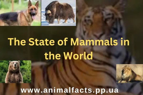 The State of Mammals in the World