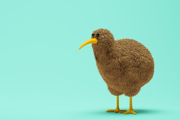 Kiwi bird standing on blue background