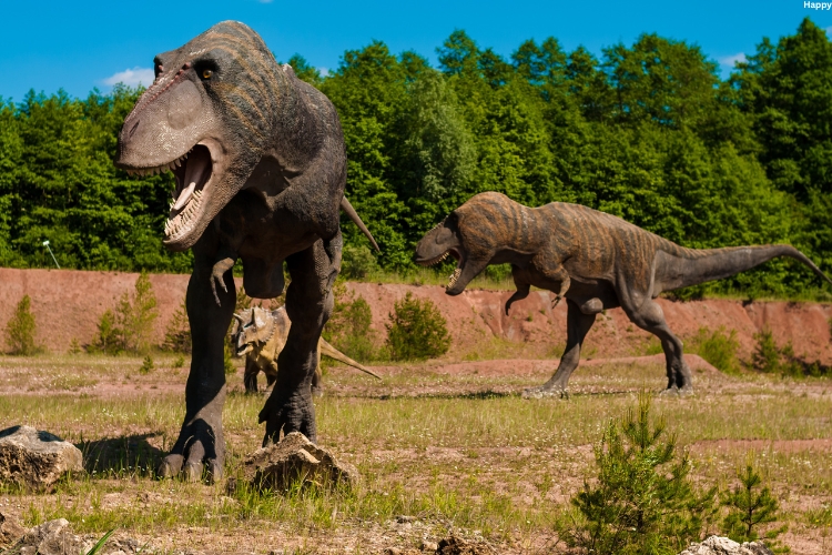 2 Edmontosaurus are shouting in forest