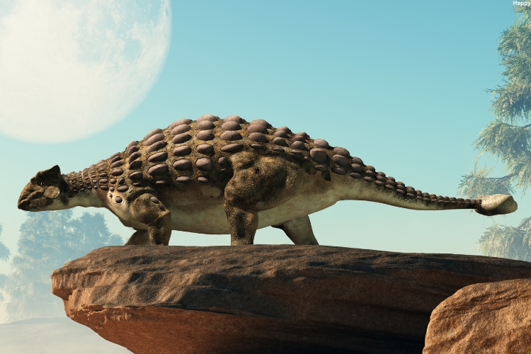 Ankylosaurus is watching below while standing on top place