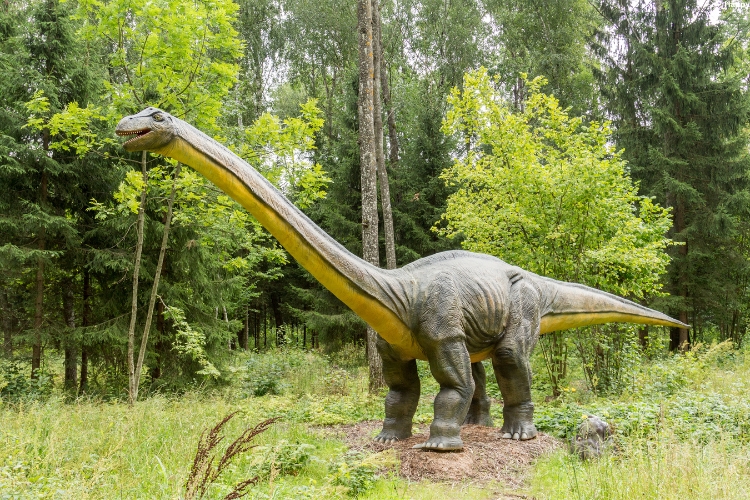 Diplodocus is alone in forest