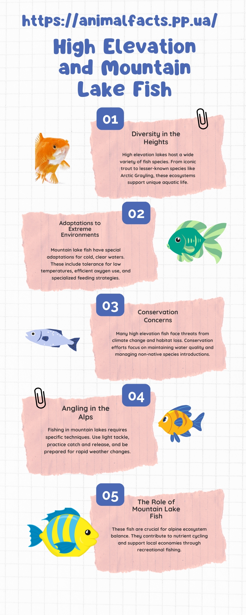 Infographic high elevation and mountains fish