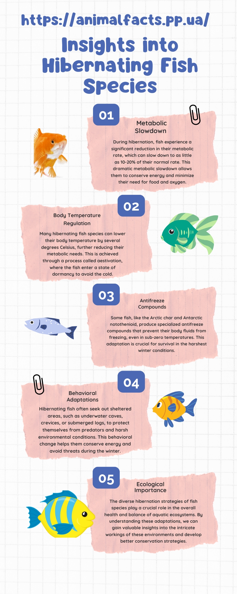 Infographic insight into hibernating fish species