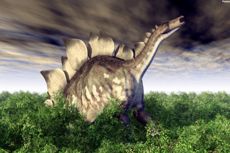 Stegosaurus is standing in grass