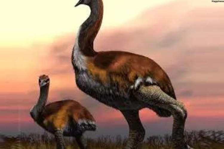 Two elegant are standing