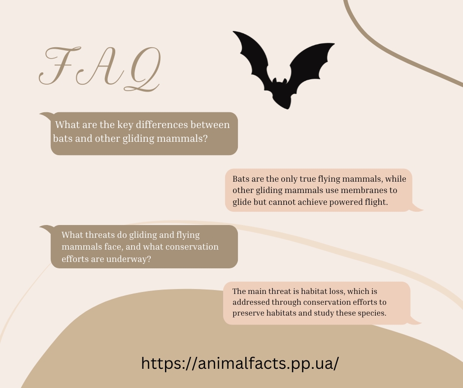 FAQ's info 40 Species of Gliding and Flying Mammals