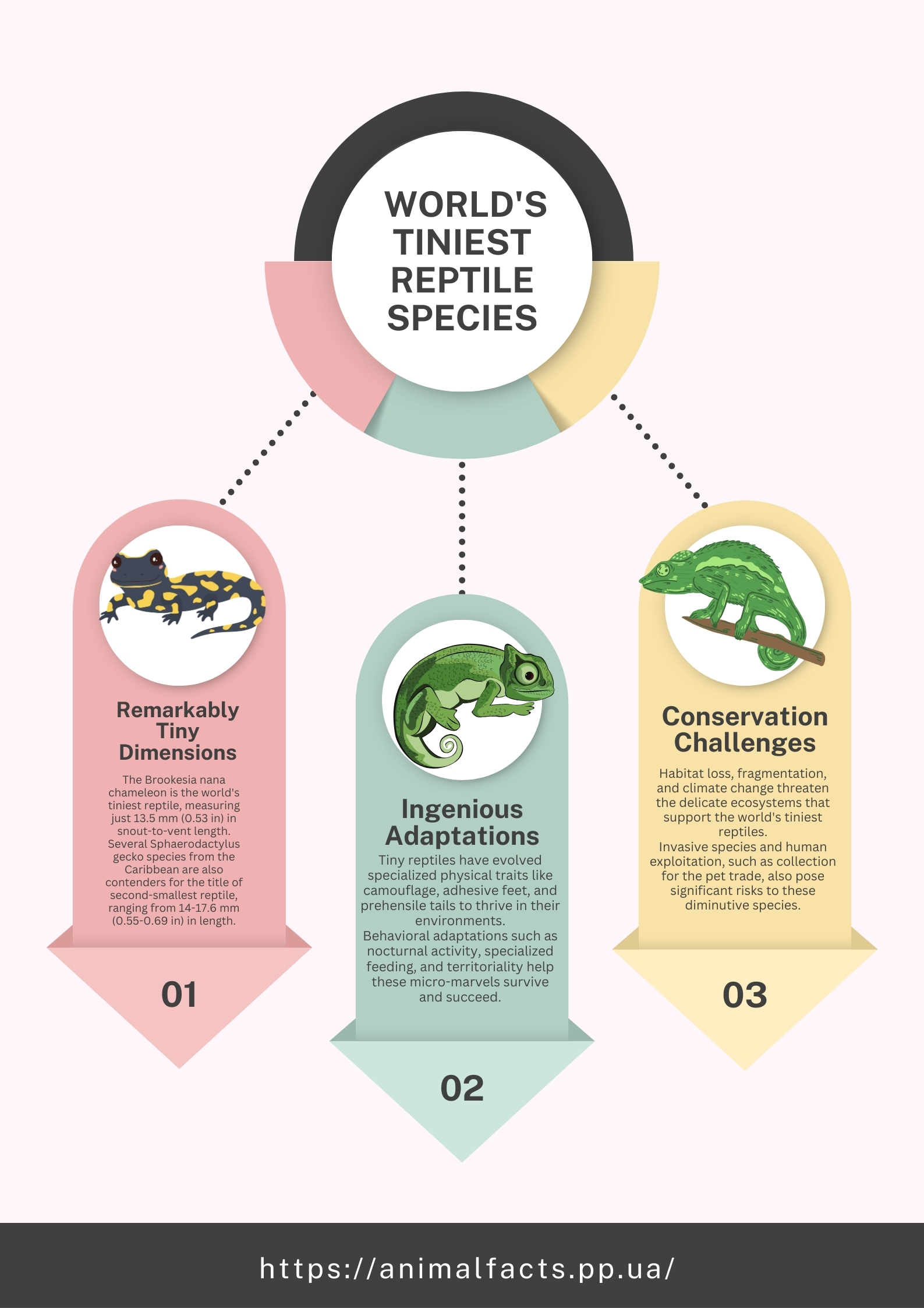 Infographic 60 World's Tiniest Reptile Species