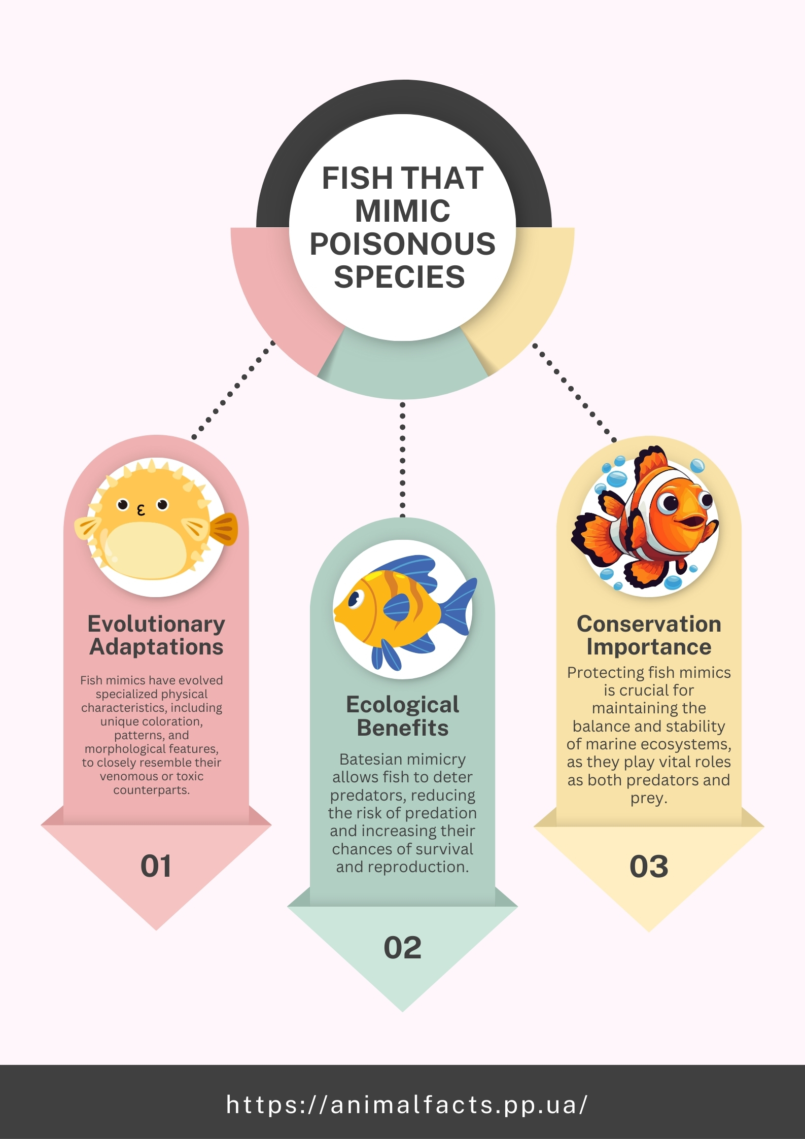  Infographics 25 Fish That Mimic Poisonous Species 