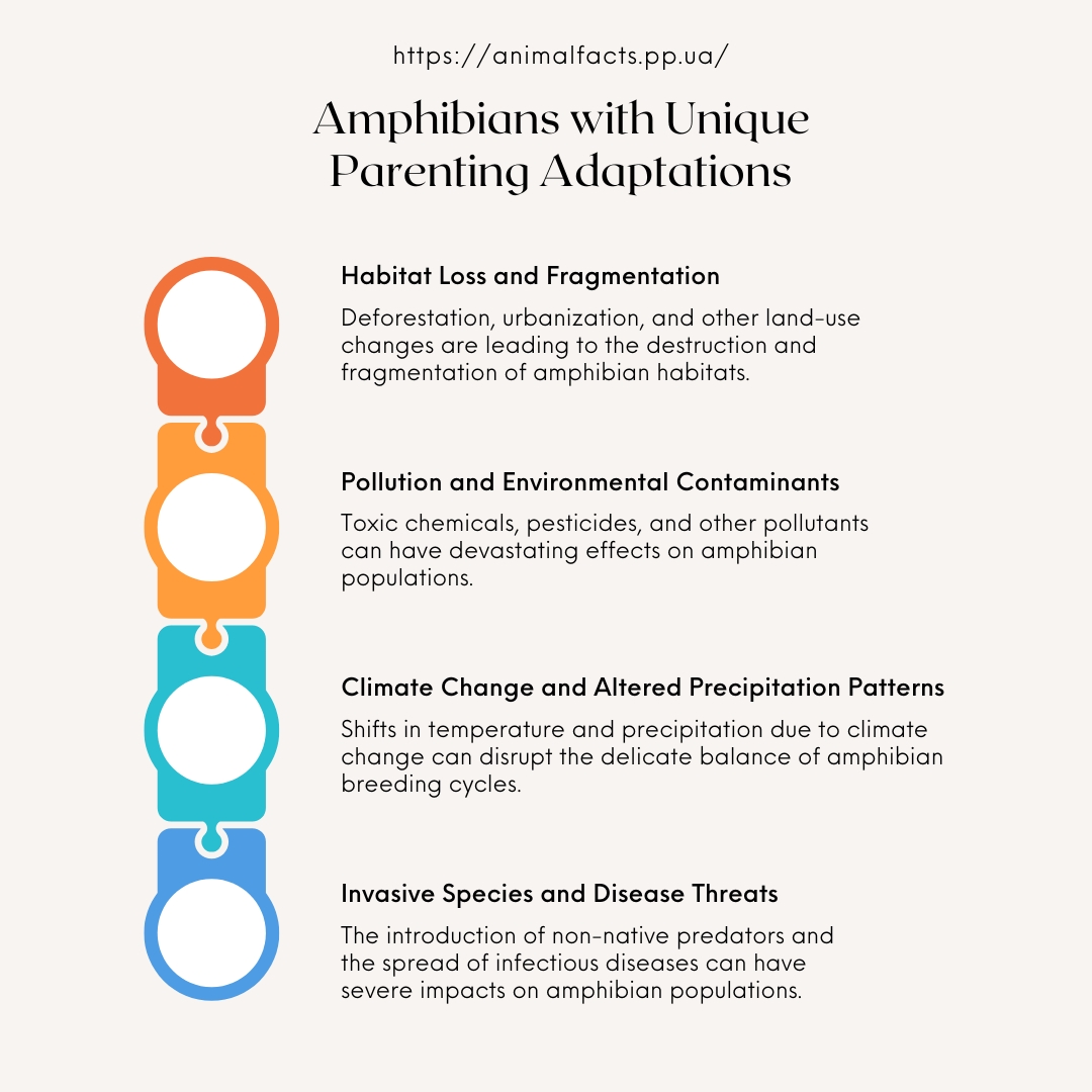 infographic Amphibians with Unique Parenting Adaptations