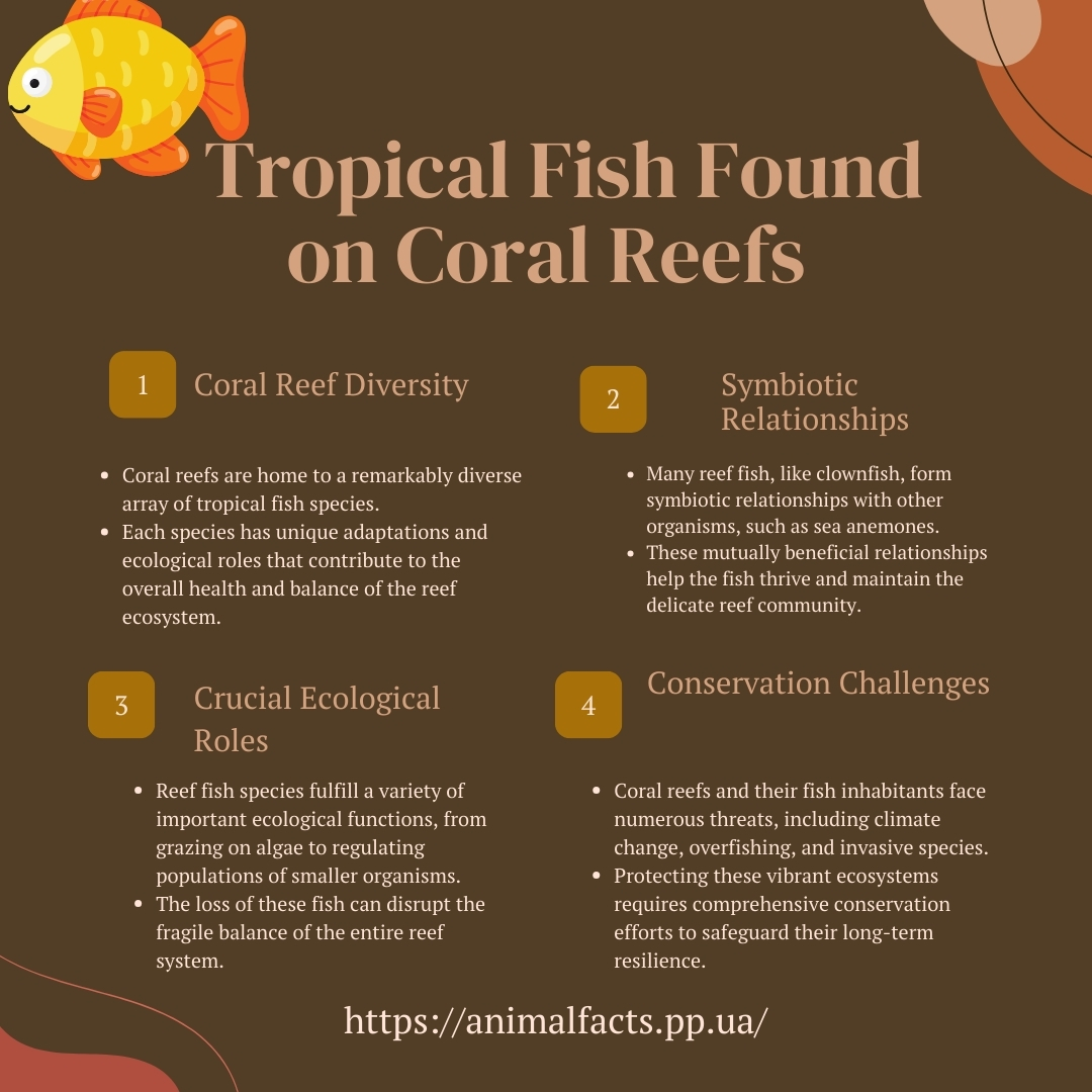 infographic Tropical Fish Found on Coral Reefs 