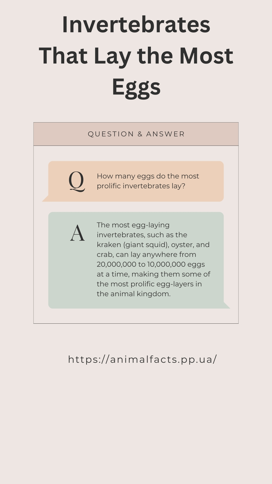 FAQ Infographic Invertebrates That Lay the Most Eggs