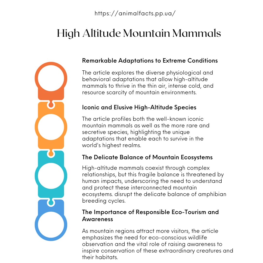 infographic High Altitude Mountain Mammals 