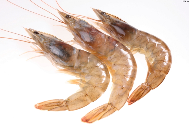 there are 3 Shrimp together at one place