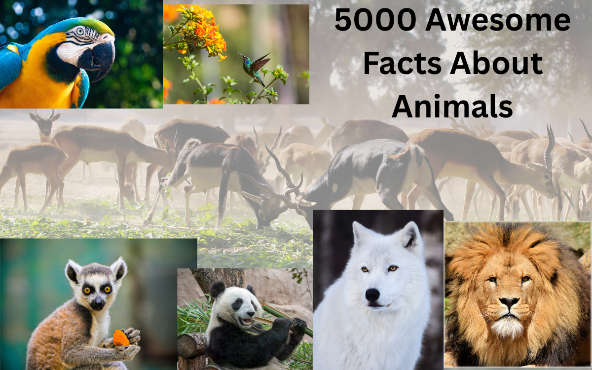 5000 Awesome Facts About Animals
