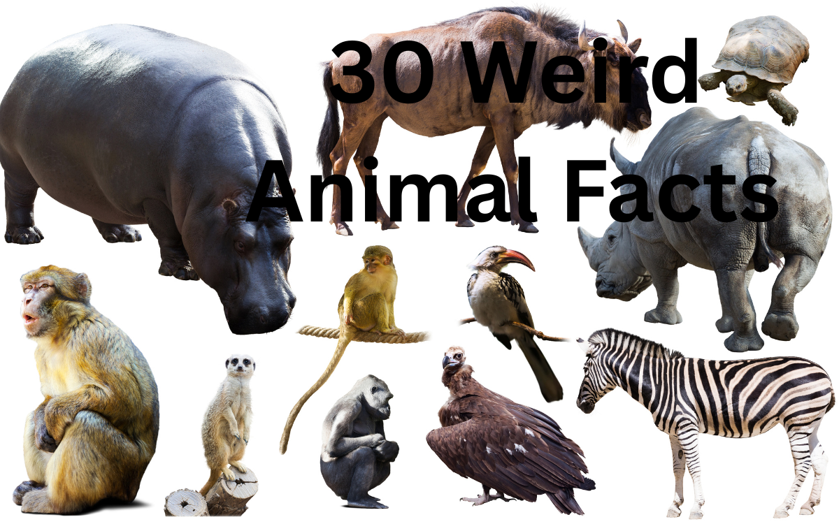30 Weird Animal Facts That Will Blow Your Mind