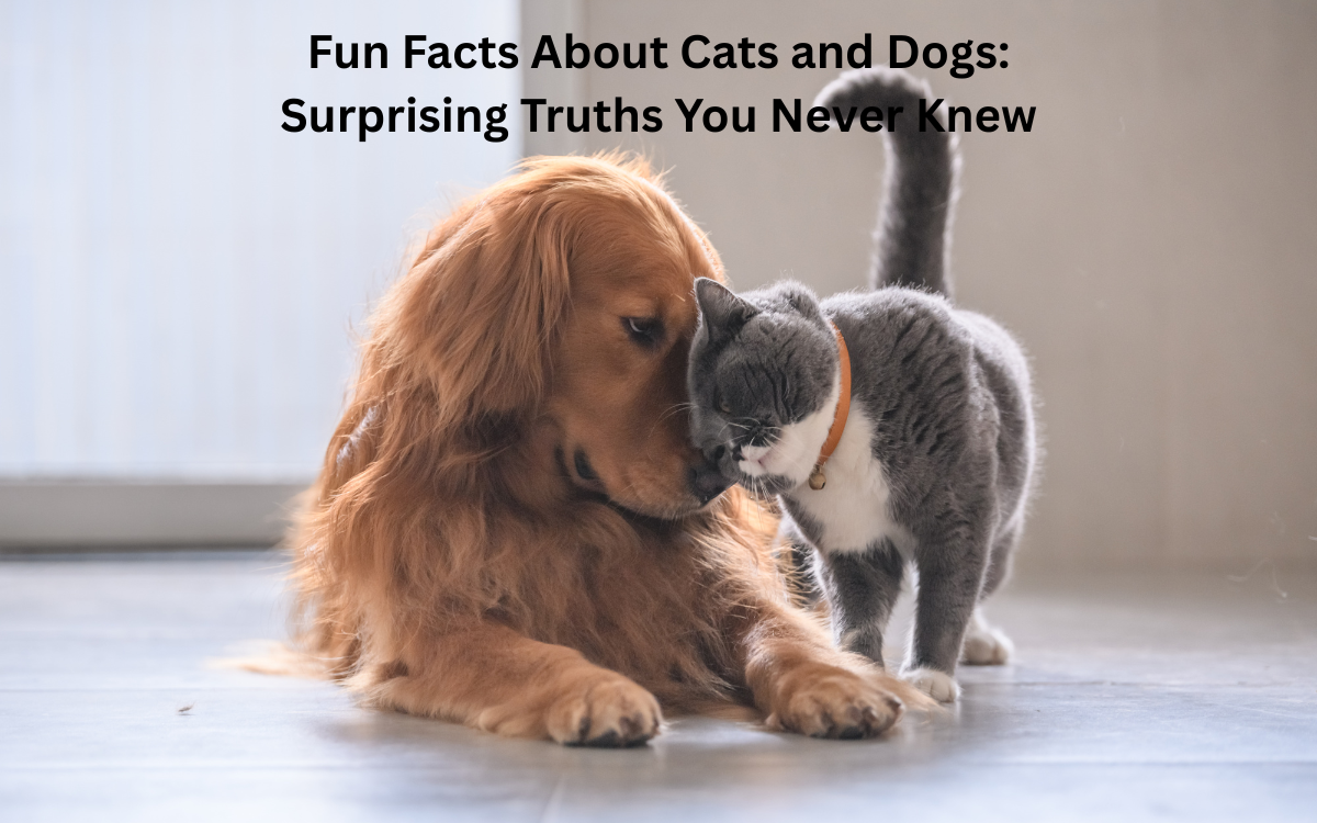 Fun Facts About Cats and Dogs: Surprising Truths You Never Knew
