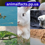 10 interesting Facts about Zoology
