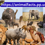 Top 10 Strongest Animal in the World